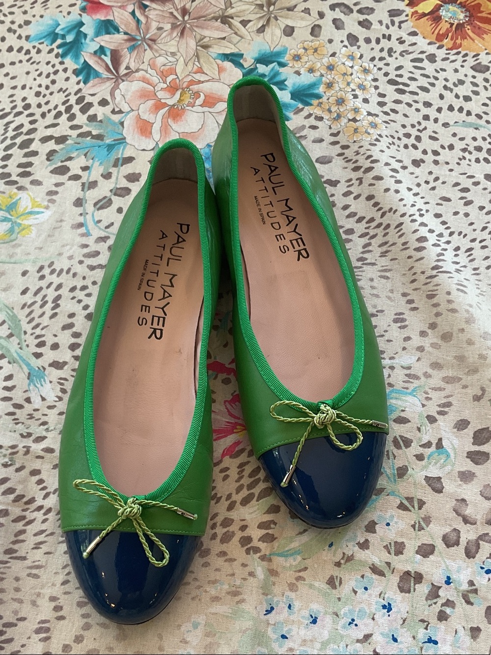 Paul Mayer Attitudes Bravo Ballet Flats